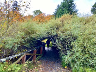 Waterfront Trail near Madrona Park