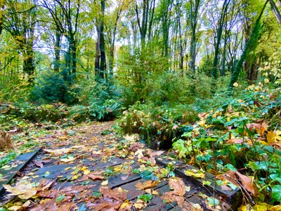 Frink Park trail