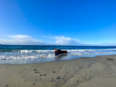 High tide on Golden Garden's beach