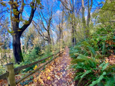 Golden Gardens Park trail