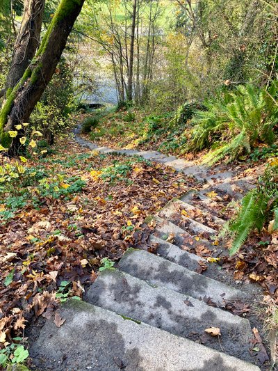 Path I should have taken