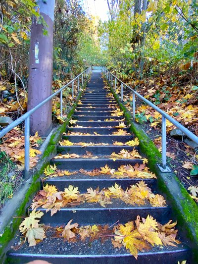 Steep stairs at Golden Gardens