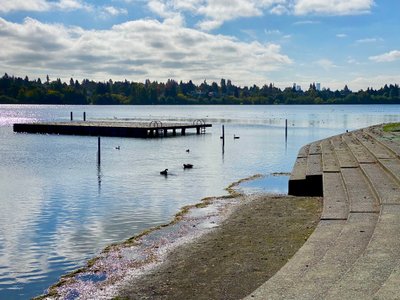 West Green Lake Beach with skyscrapers in the background