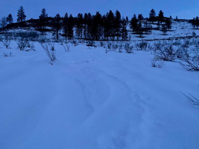 Ski tracks on the first slope