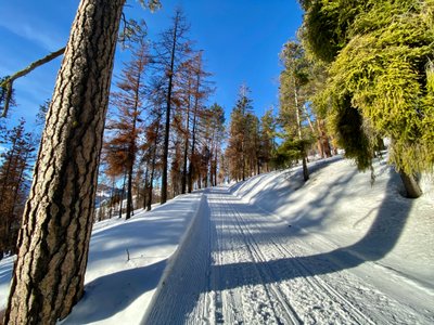 Back on Shady Pass Road