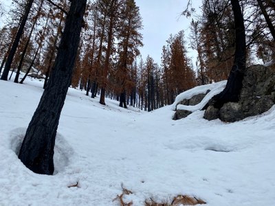 Skiing down a creek bed