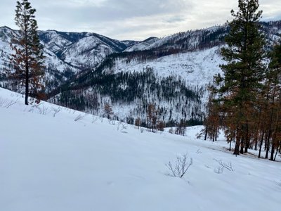 Open slope above Shady Pass Road