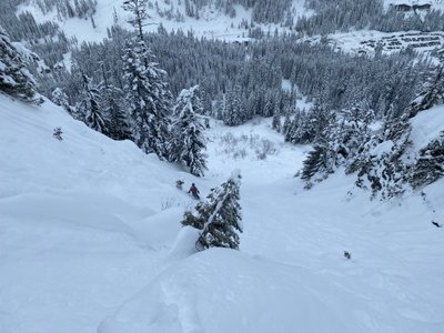 Heading down the chute