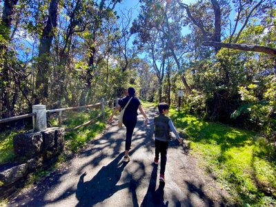 Walking down the path towards the Thurston Lava Tubes
