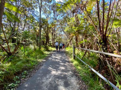 Path back to the road