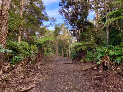 The aptly named Pipeline Trail