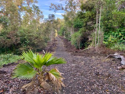 Honua'ula Forest Reserve