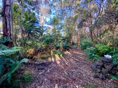 Upper Jurassic Trail