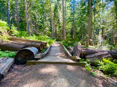 Raised wooden platform along Icicle Gorge trail