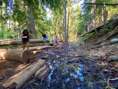 One muddy section on Icicle Gorge trail