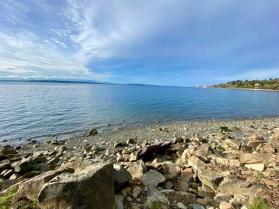 Puget Sound