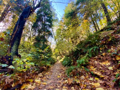 Start off the trail