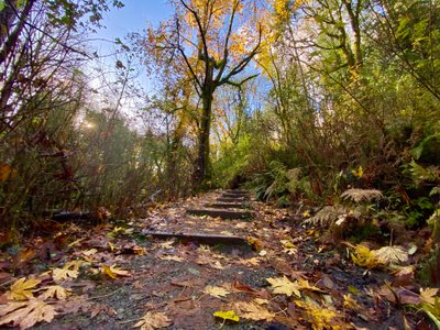 Steps on the trail