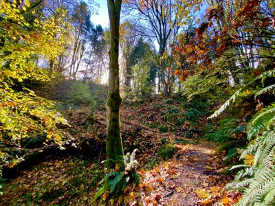 Interlaken Park