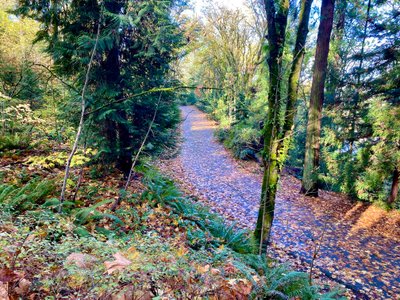 Above East Interlaken Boulevard