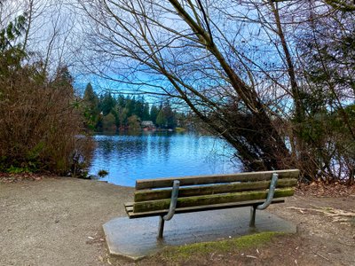 Bitter Lake
