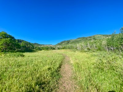 Open area at the start of the hike