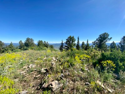 Top of Iron Mountian