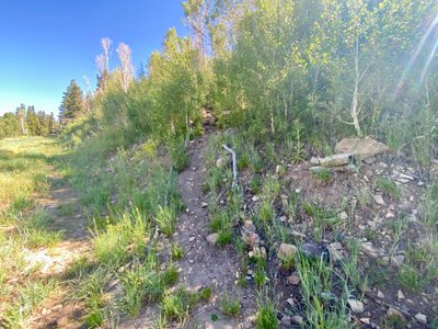 Where trail intersects with the road, not sure how I missed it!