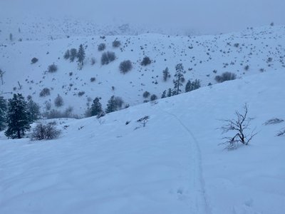 Skinning up from Joe Creek Road