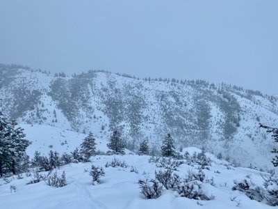 Johnson Creek