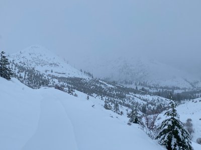 Antilon Creek Forest Service Road