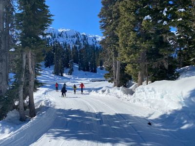 Skinning along the nordic trails