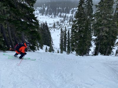 Bottom ski