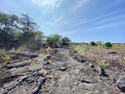 Walking over lava rock