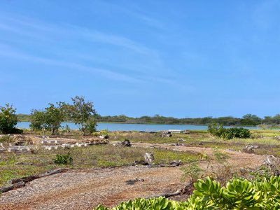 'Aimakapa Fishpond