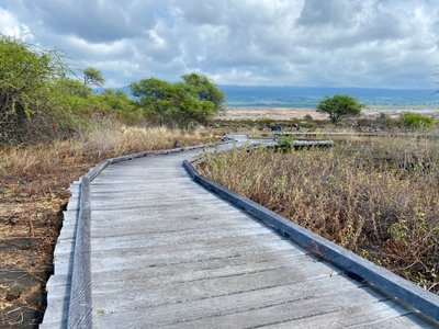 Start of the Petroglyph Trail