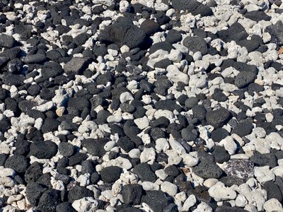 Coral and lava rock party