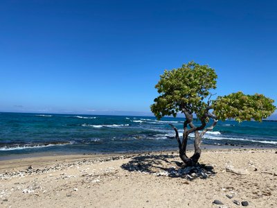 Start of Mahai’ula Beach