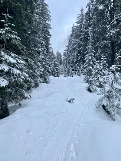 Following the Pacific Crest Trail up through Commonwealth Basin