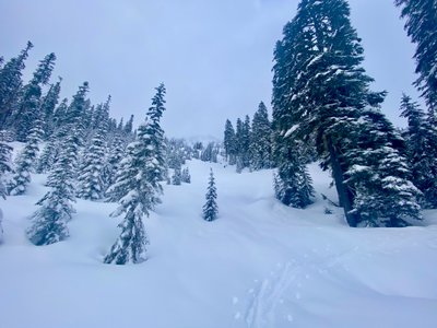 Skinning up through Kdenall Trees