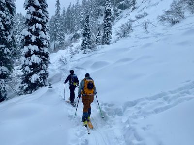 Skinning below cliff bands in the Commonwealth