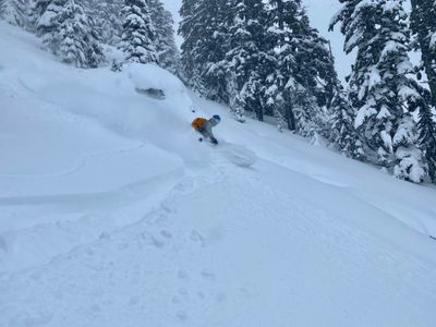 Thatcher enjoying turns down Kendall Trees