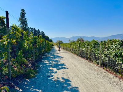 Riding through the vineyards