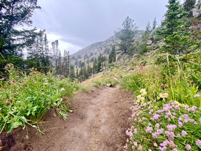 Beginning the descent down from Catherine's Pass