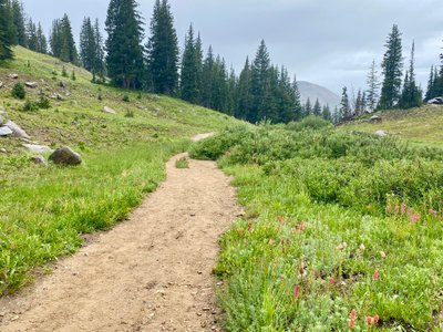 Hiking down Catherine's Pass Trail