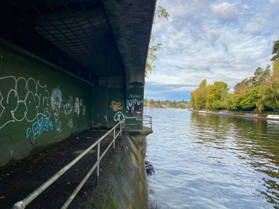 Underneath the Montlake Bridge