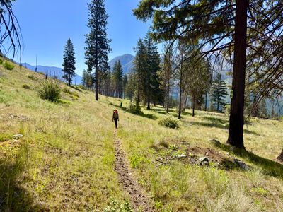 Hiking through an open meadow