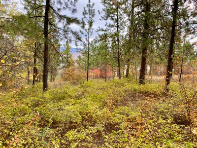 Glimpses of Lake Chelan and fall color