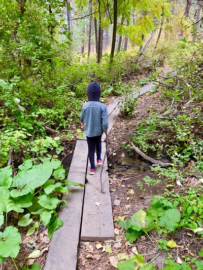 Dried up stream crossing