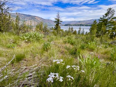 Little Bear Trail